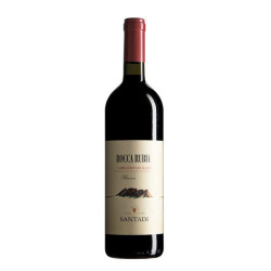 Carignano del Sulcis Riserva 'Rocca Rubia' Santadi 2019