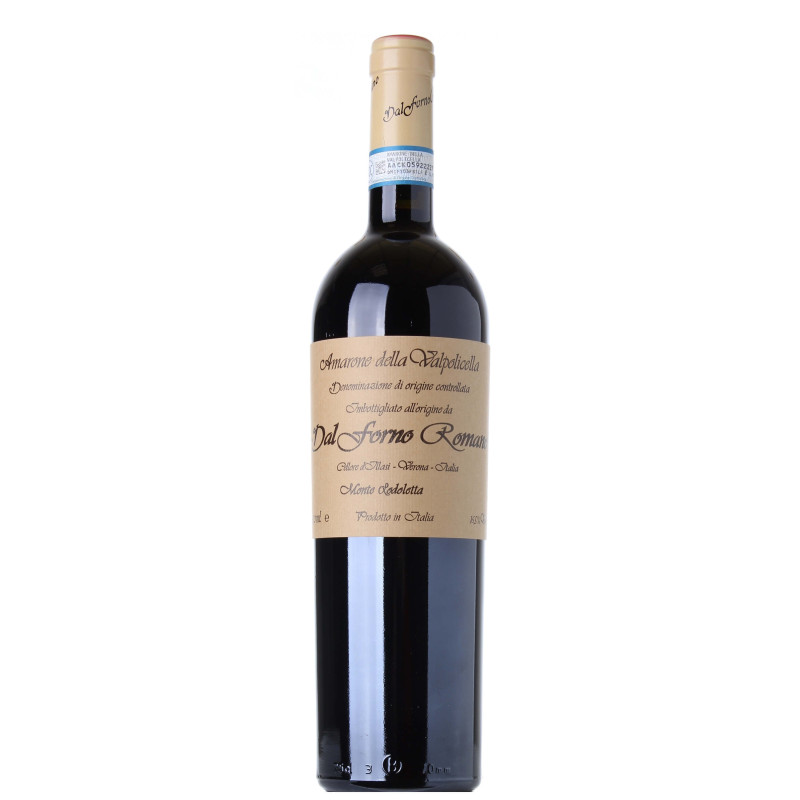 Amarone della Valpolicella DOCG Antonio Castagnedi 2017 Tenuta Sant'Antonio